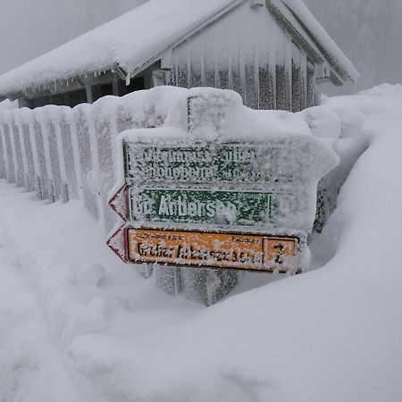 Apartman Arberblick 20 Bayerisch Eisenstein Buitenkant foto